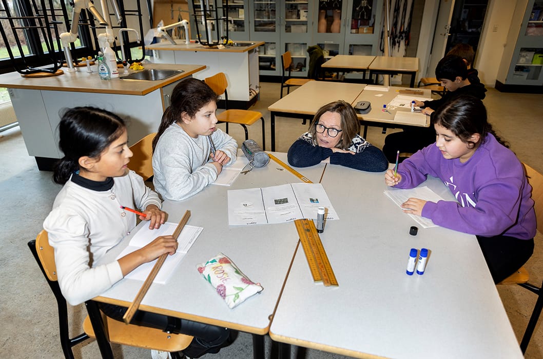 Featured image for Gode l&aelig;sevaner er en styrke i matematik