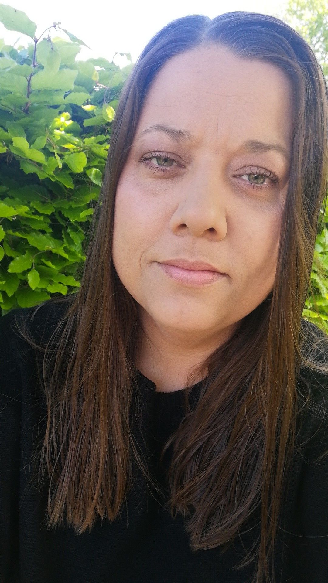 Nye sprogvurderinger er ramt af stort it-bøvl - og nedbruddet er ikke den eneste frustration