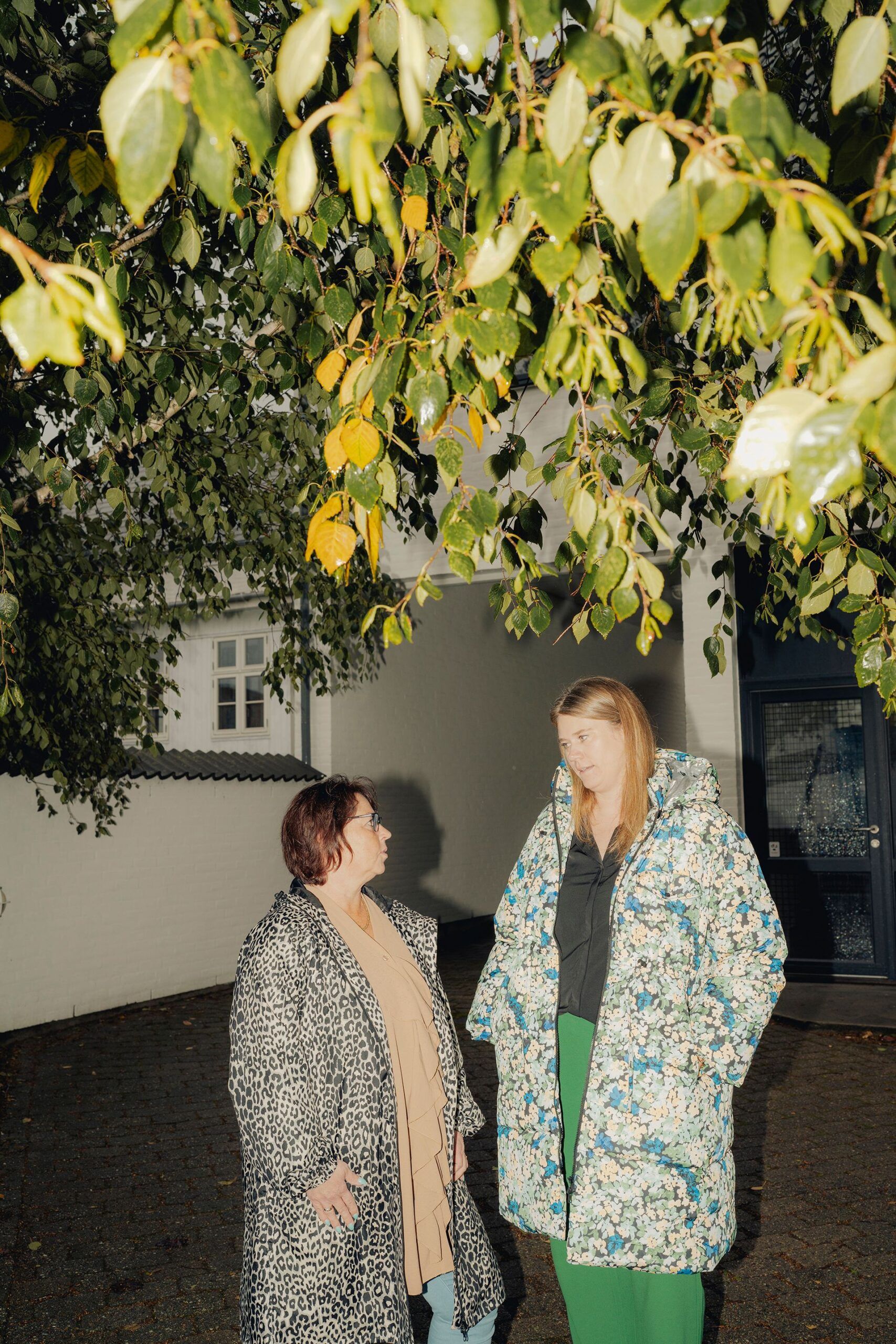 Featured image for Har fået glæden tilbage