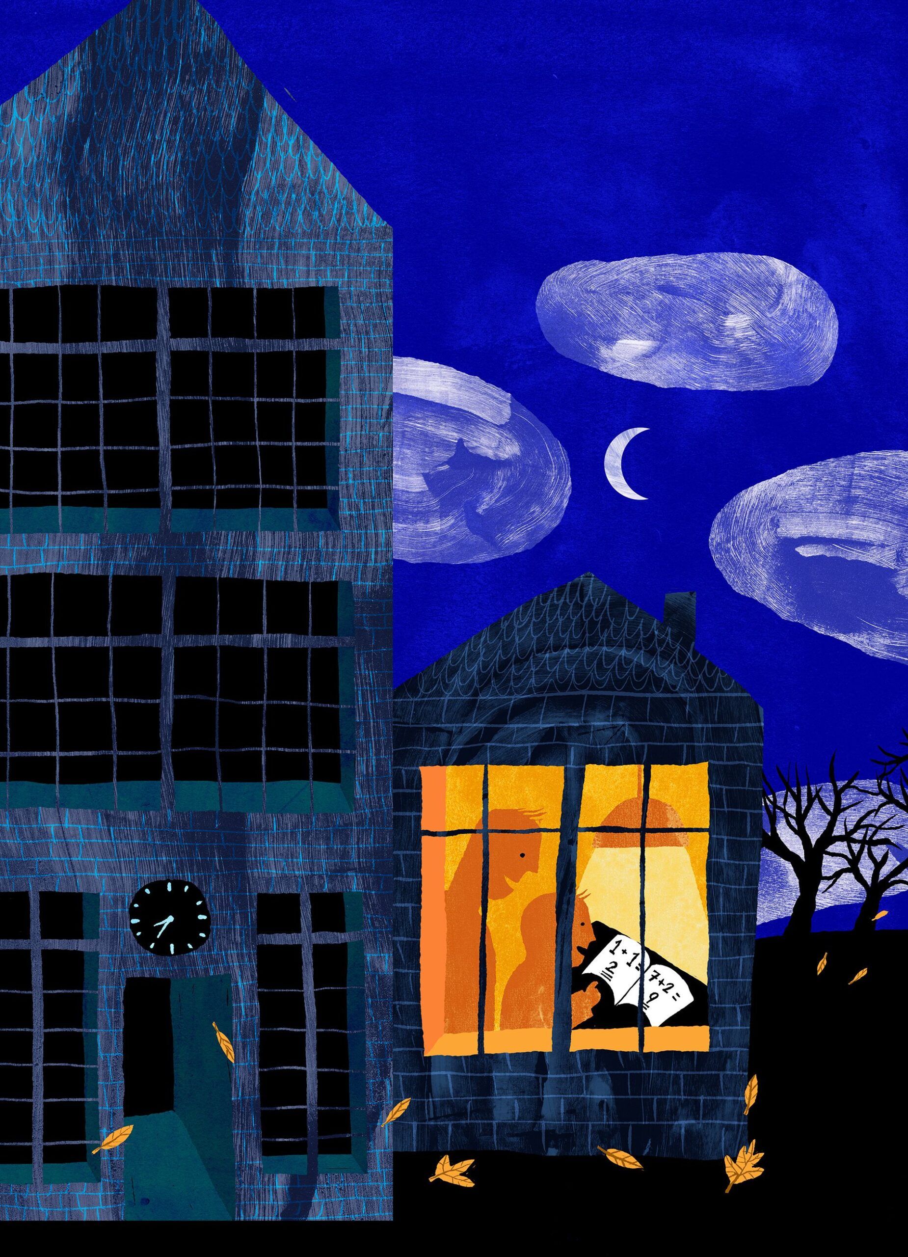 Featured image for For&aelig;ldre k&oslash;ber sig til skyggeundervisning