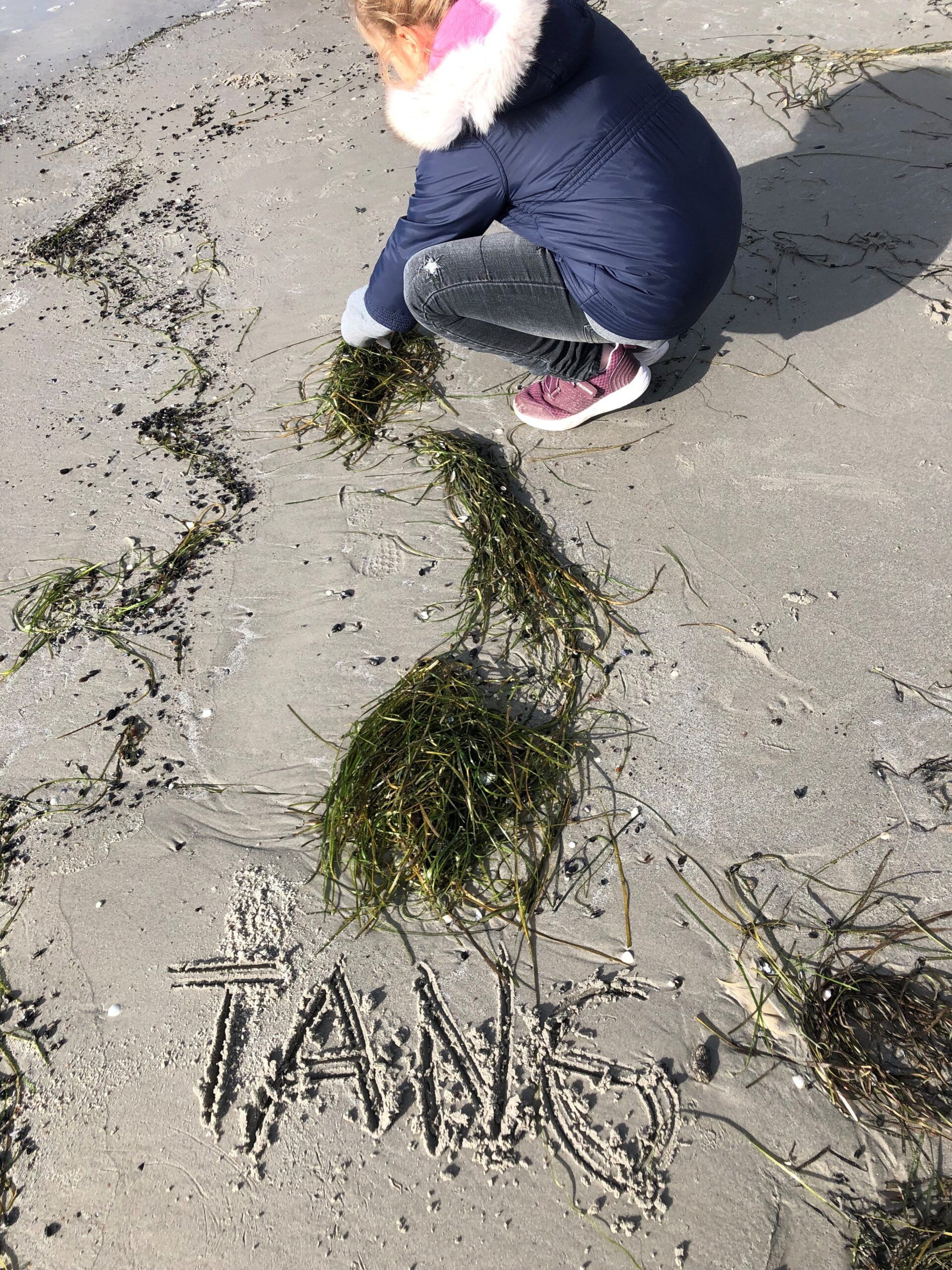 nyankomne elever p&aring; strand