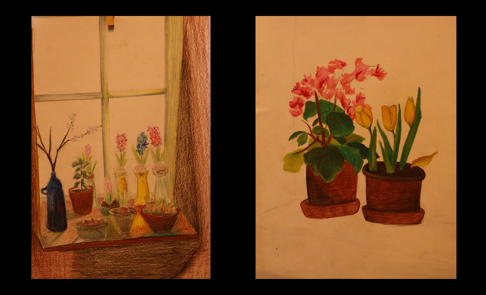 Elevers tegninger af blomster