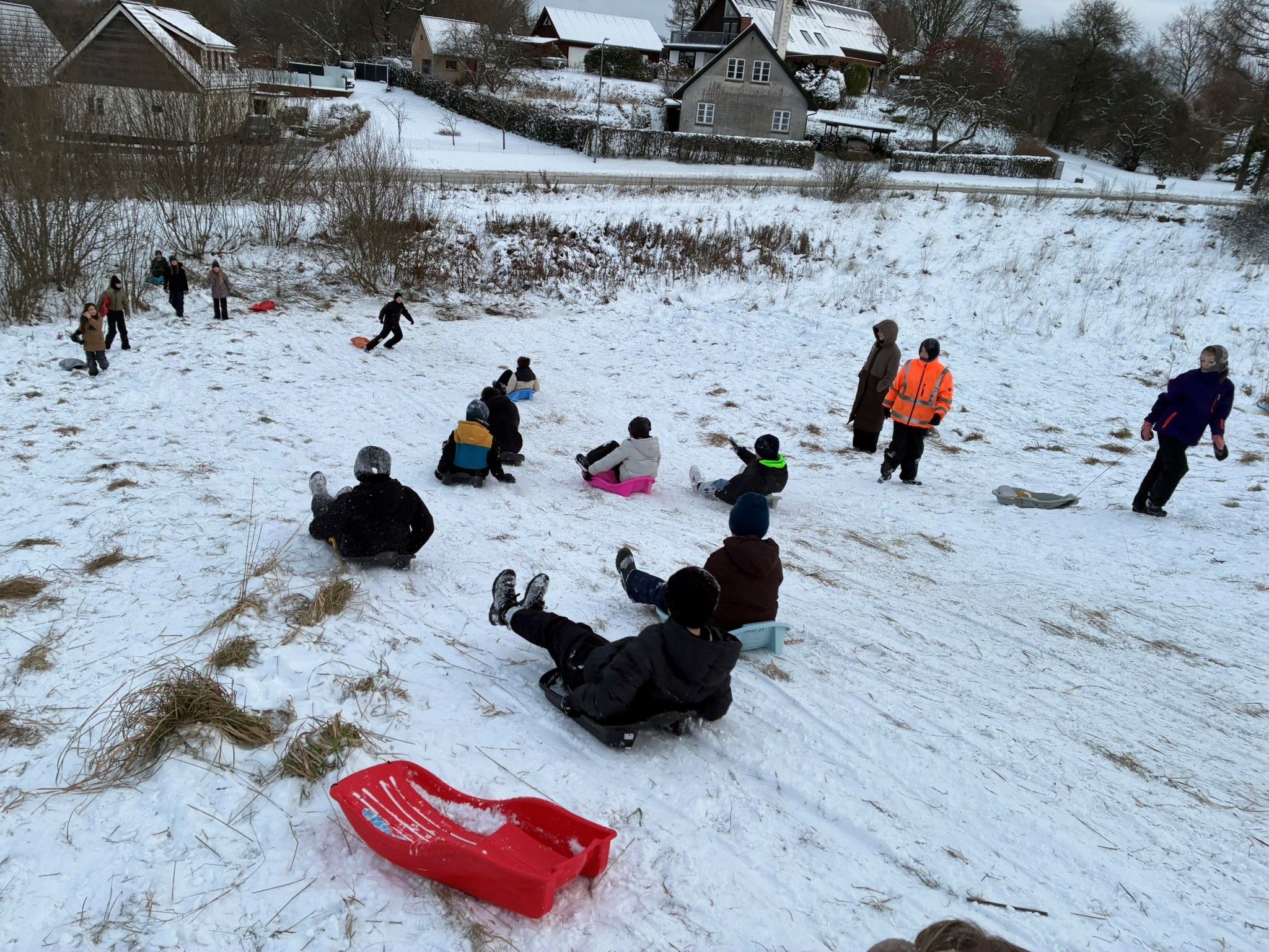 Elever i 5. klasse kælker ned ad en bakke