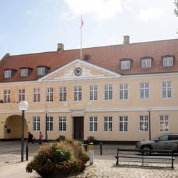 Byråd beder ministerium om hjælp i Borup-sag