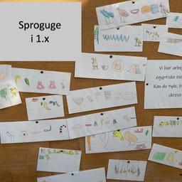 Forskere foreslår helt nyt sprogfag fra 1. klasse