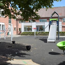 Vil redde små skoler ved at gøre det nemmere at spare på dem