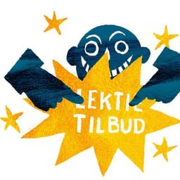 Tidslinje: Da lektiehjælp blev en dansk industri