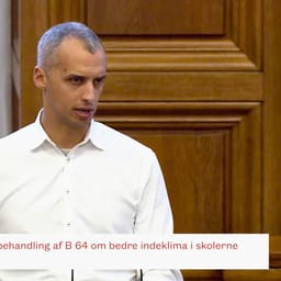 Kritiseres for 'vild udenomssnak': ”Argumenterne har jo ikke hold i virkeligheden”