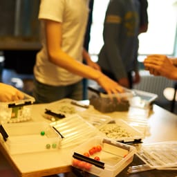 Analyse: Antallet af ansatte til at undervise falder i forhold til antallet af brugere