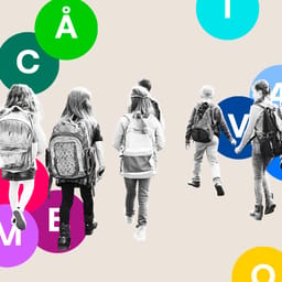 Halvdelen af partierne vil stille flere krav til privatskoler efter valget