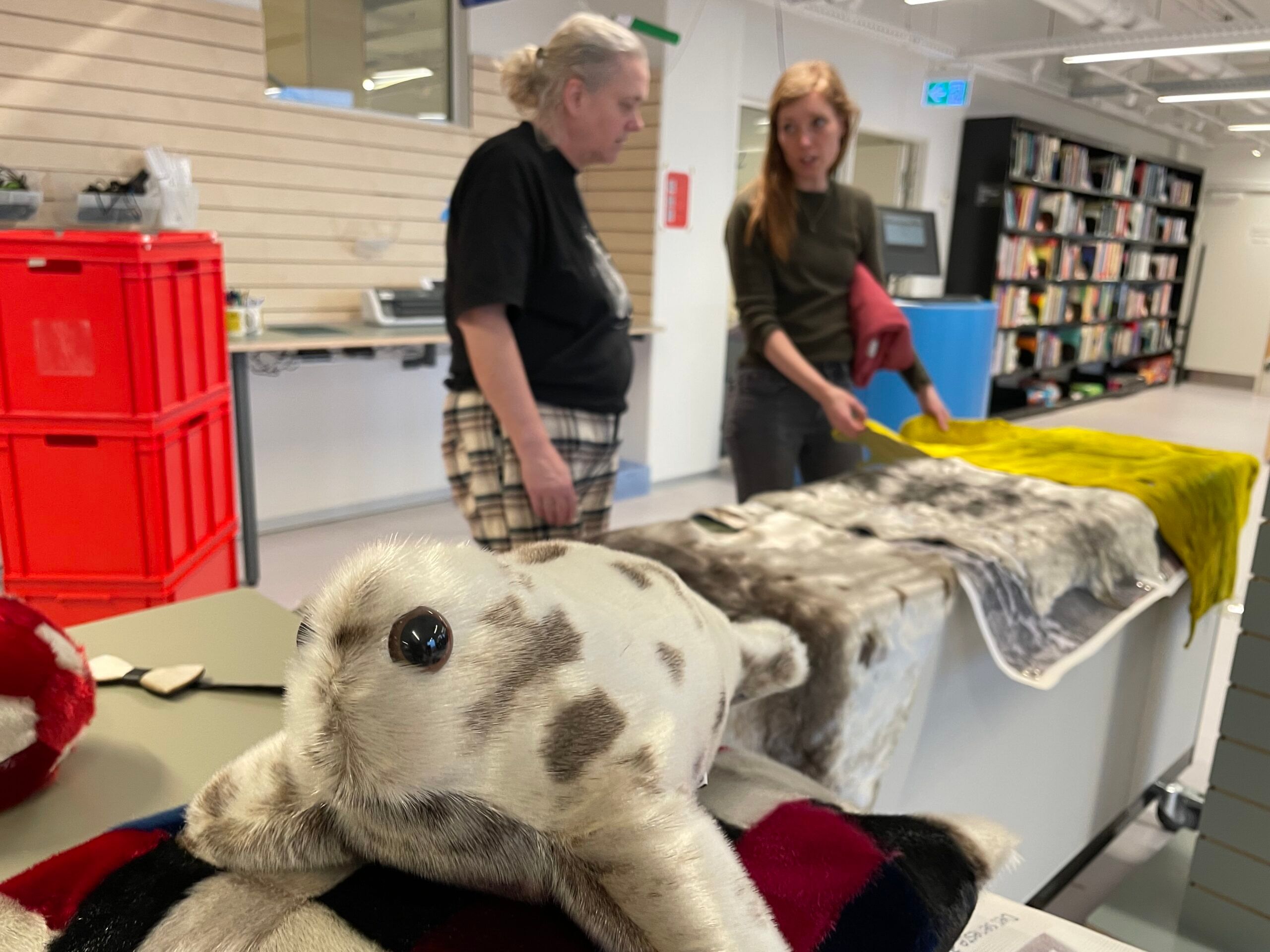 Her er nogle af CFU’ernes bedste materialer om Grønland