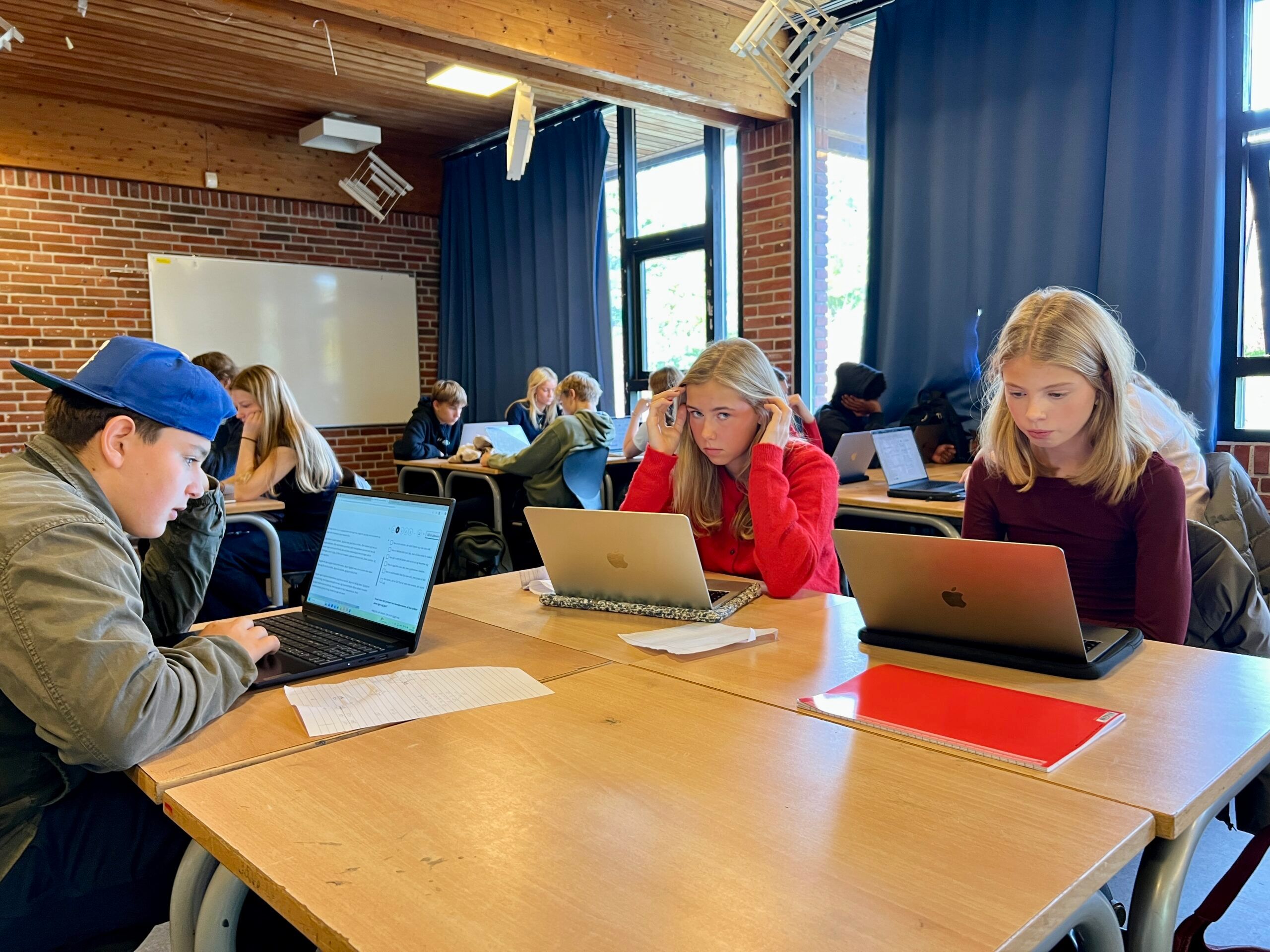 Elever laver nationale test