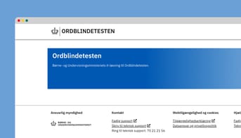 Screendump fra ordblindetesten.