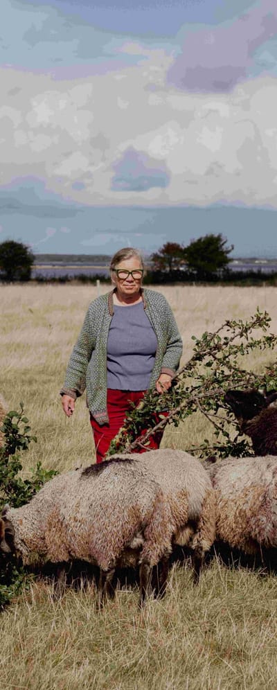 Billede af Mette Moldgaard der står på en mark med geder