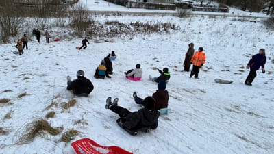 Elever i 5. klasse kælker ned ad en bakke