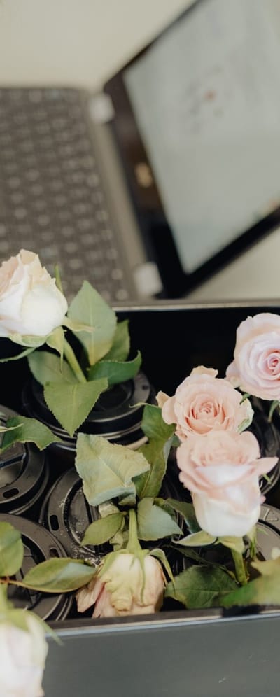 Frederikke undersøger, om hun kan få afskårne roser til at holde længere ved at tilsætte hverdagsingredienser til vandet. Ketchup og mel viste sig at være blomsterdræbere.