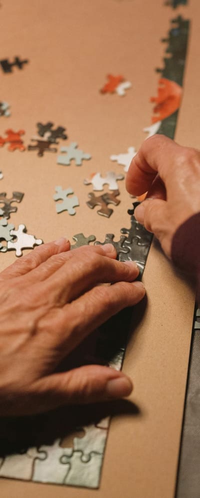 Lone laver puslespil