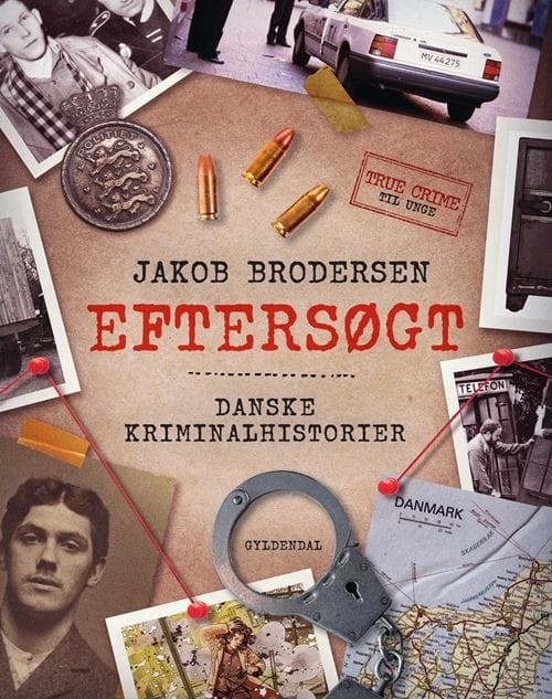 "Efters&oslash;gt" Bogforside